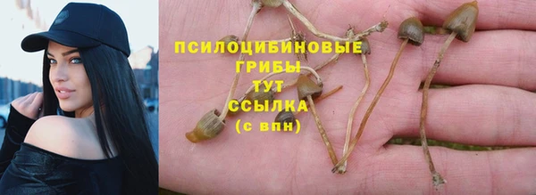 шишки Лиски