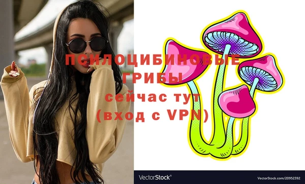 шишки Лиски