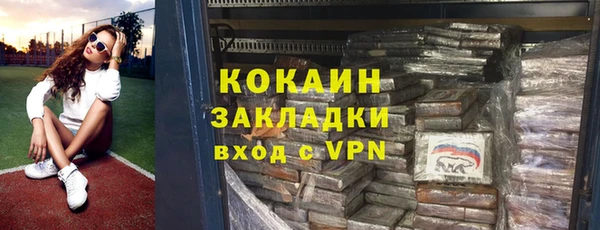 шишки Лиски