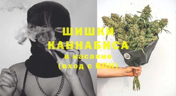 шишки Лиски